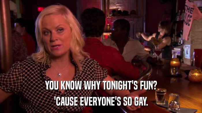 YOU KNOW WHY TONIGHT'S FUN? 'CAUSE EVERYONE'S SO GAY. 