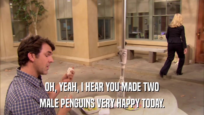 OH, YEAH, I HEAR YOU MADE TWO MALE PENGUINS VERY HAPPY TODAY. 