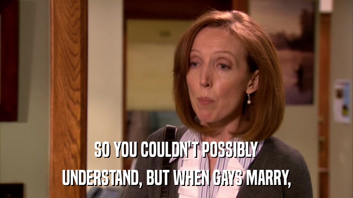 SO YOU COULDN'T POSSIBLY UNDERSTAND, BUT WHEN GAYS MARRY, 