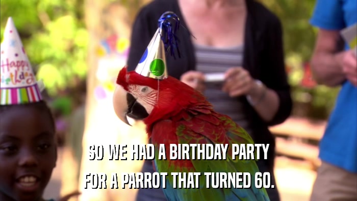 SO WE HAD A BIRTHDAY PARTY FOR A PARROT THAT TURNED 60. 