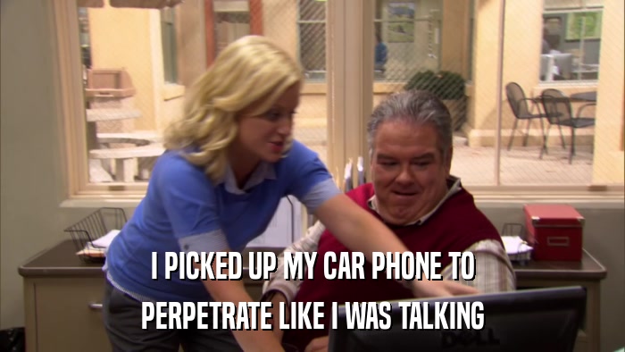 I PICKED UP MY CAR PHONE TO PERPETRATE LIKE I WAS TALKING 
