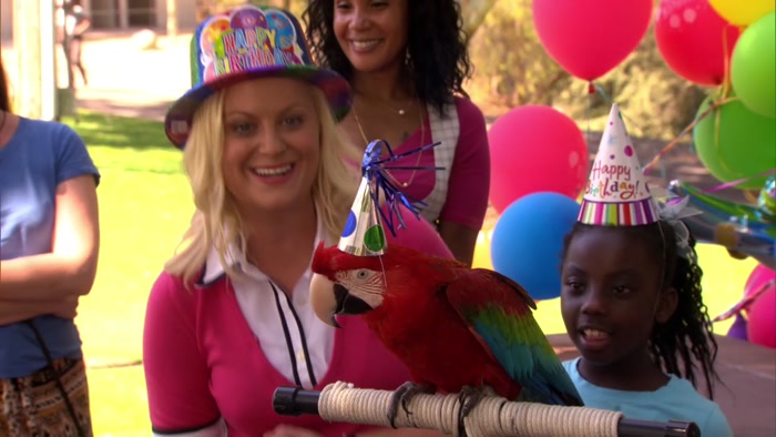 SO WE HAD A BIRTHDAY PARTY FOR A PARROT THAT TURNED 60. 