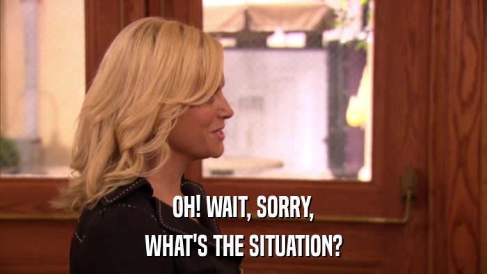OH! WAIT, SORRY, WHAT'S THE SITUATION? 
