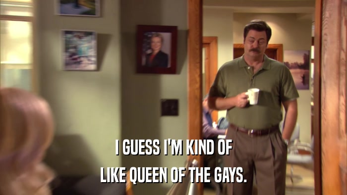 I GUESS I'M KIND OF LIKE QUEEN OF THE GAYS. 