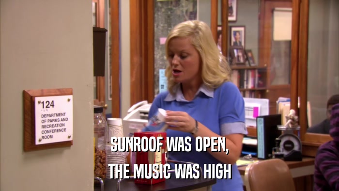 SUNROOF WAS OPEN, THE MUSIC WAS HIGH 