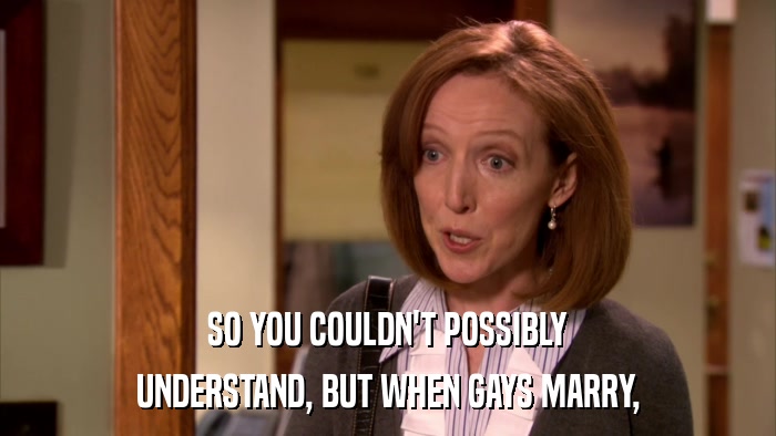 SO YOU COULDN'T POSSIBLY UNDERSTAND, BUT WHEN GAYS MARRY, 