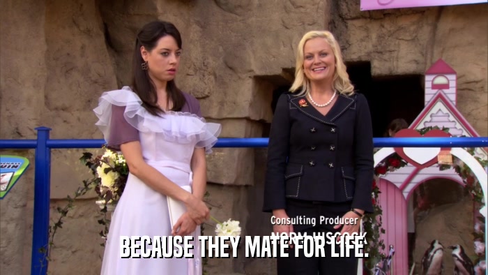 BECAUSE THEY MATE FOR LIFE.  