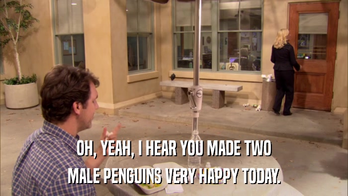 OH, YEAH, I HEAR YOU MADE TWO MALE PENGUINS VERY HAPPY TODAY. 