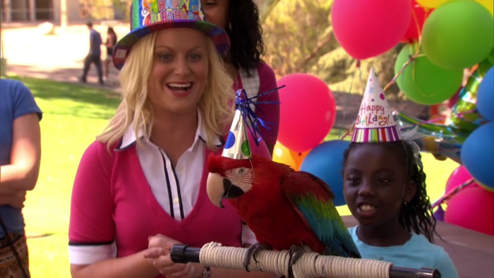 SO WE HAD A BIRTHDAY PARTY FOR A PARROT THAT TURNED 60. 