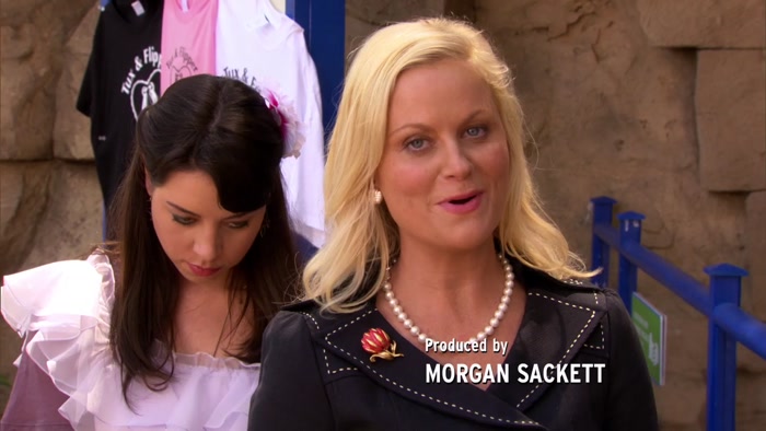 THE DEPARTMENT OF PARKS AND RECREATION, 