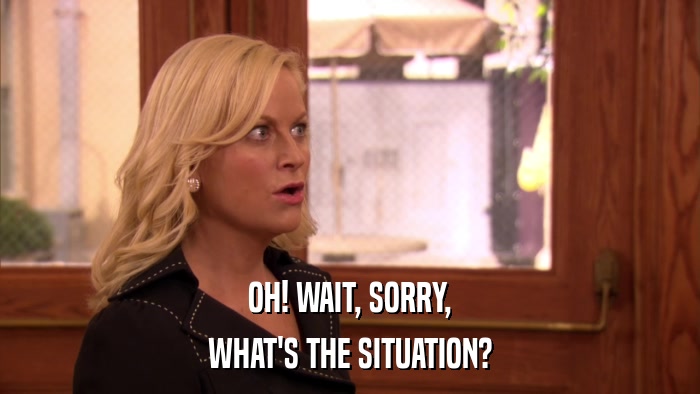 OH! WAIT, SORRY, WHAT'S THE SITUATION? 