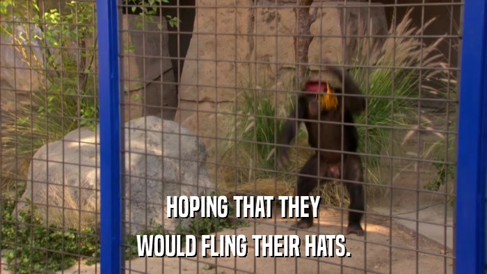 HOPING THAT THEY WOULD FLING THEIR HATS. 