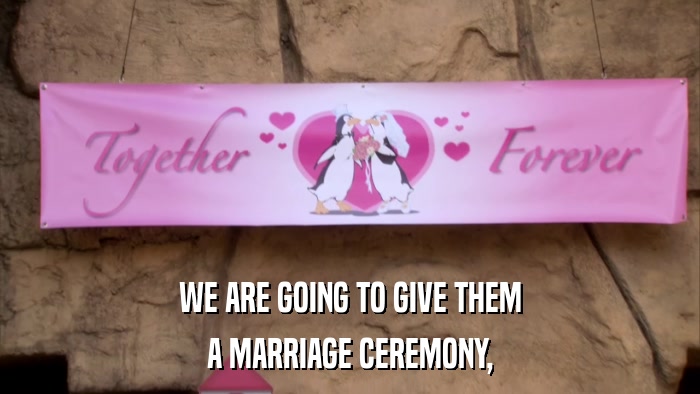 WE ARE GOING TO GIVE THEM A MARRIAGE CEREMONY, 