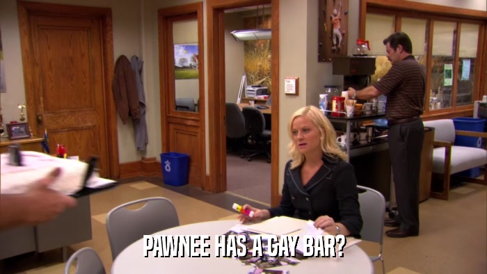 PAWNEE HAS A GAY BAR?  