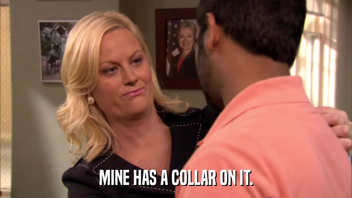 MINE HAS A COLLAR ON IT.  