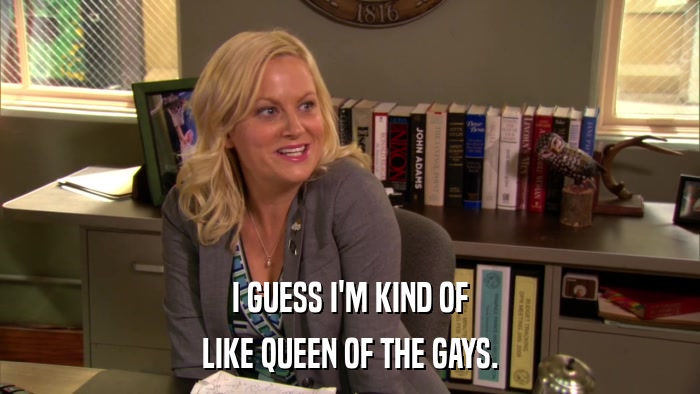 I GUESS I'M KIND OF LIKE QUEEN OF THE GAYS. 