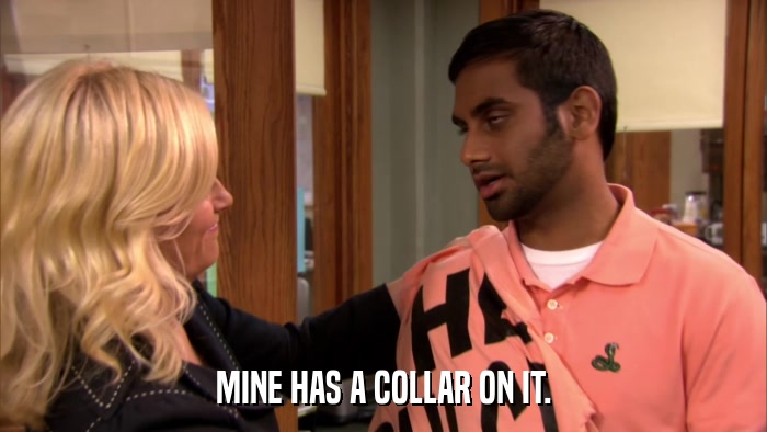 MINE HAS A COLLAR ON IT.  