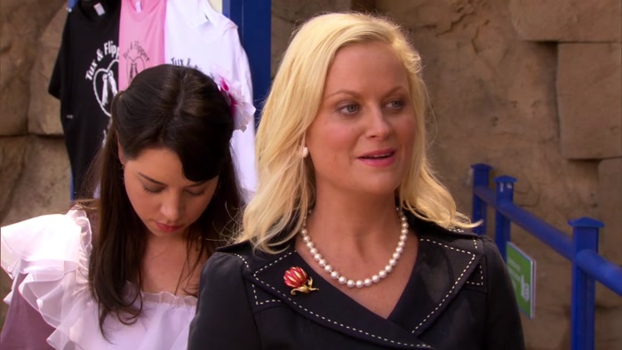 THE DEPARTMENT OF PARKS AND RECREATION, 