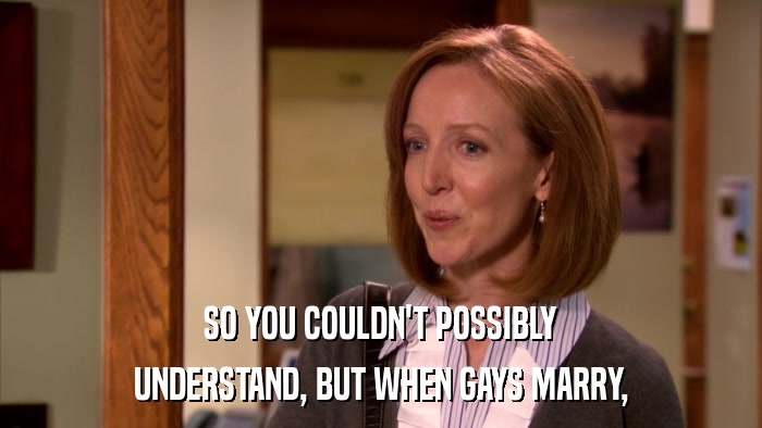 SO YOU COULDN'T POSSIBLY UNDERSTAND, BUT WHEN GAYS MARRY, 