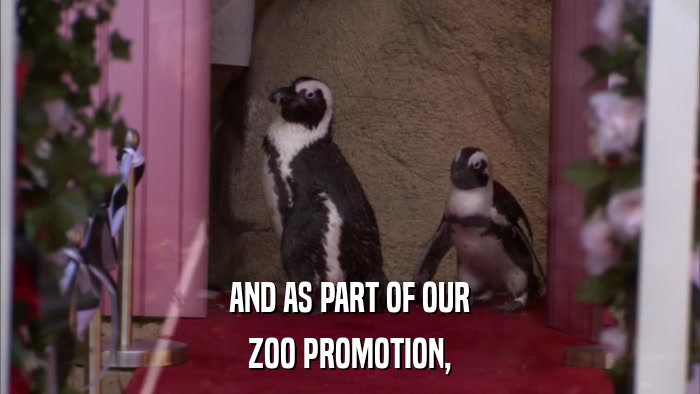 AND AS PART OF OUR ZOO PROMOTION, 