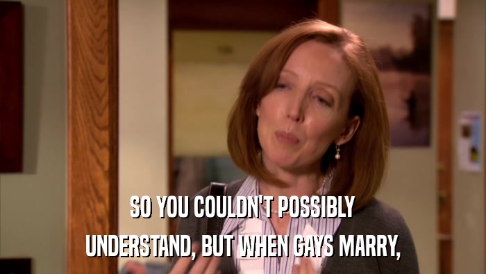SO YOU COULDN'T POSSIBLY UNDERSTAND, BUT WHEN GAYS MARRY, 