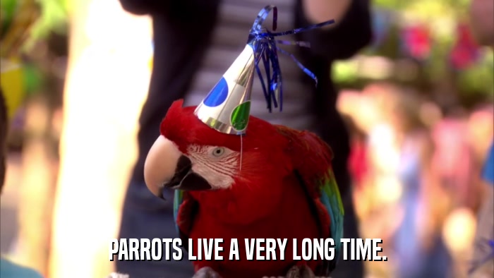 PARROTS LIVE A VERY LONG TIME.  