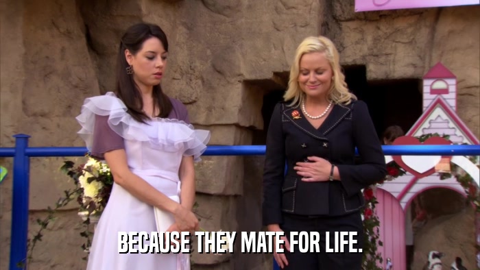 BECAUSE THEY MATE FOR LIFE.  