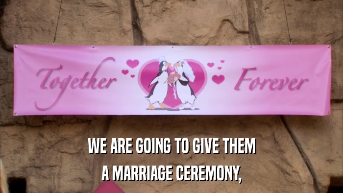 WE ARE GOING TO GIVE THEM A MARRIAGE CEREMONY, 