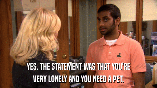 YES. THE STATEMENT WAS THAT YOU'RE VERY LONELY AND YOU NEED A PET. 