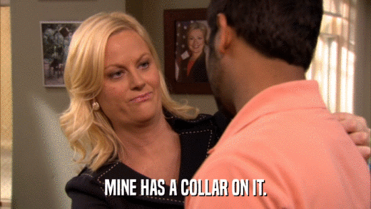 MINE HAS A COLLAR ON IT.  