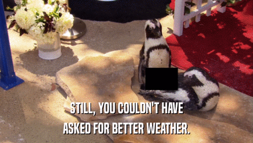 STILL, YOU COULDN'T HAVE ASKED FOR BETTER WEATHER. 