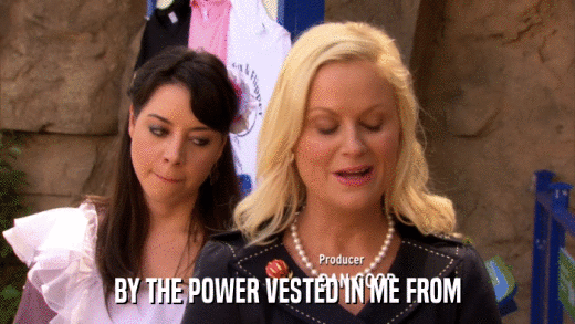 BY THE POWER VESTED IN ME FROM  