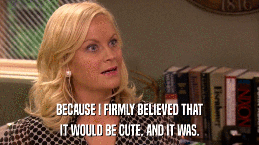 BECAUSE I FIRMLY BELIEVED THAT IT WOULD BE CUTE. AND IT WAS. 