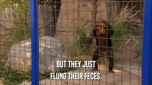 BUT THEY JUST FLUNG THEIR FECES. 