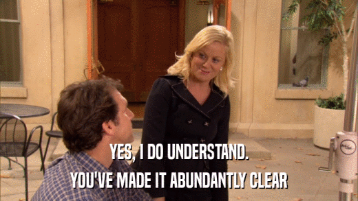 YES, I DO UNDERSTAND. YOU'VE MADE IT ABUNDANTLY CLEAR 