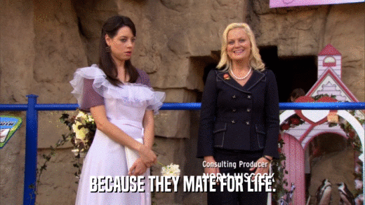 BECAUSE THEY MATE FOR LIFE.  