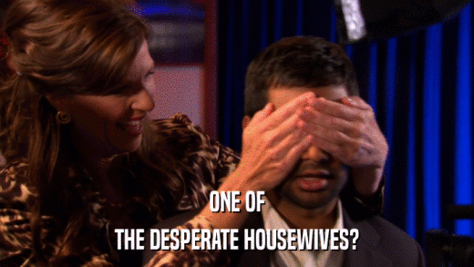 ONE OF THE DESPERATE HOUSEWIVES? 