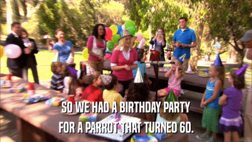 SO WE HAD A BIRTHDAY PARTY FOR A PARROT THAT TURNED 60. 