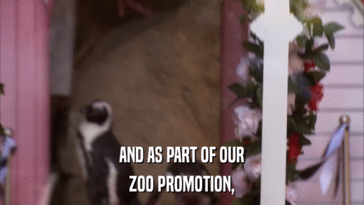 AND AS PART OF OUR ZOO PROMOTION, 
