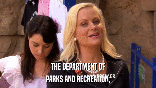 THE DEPARTMENT OF PARKS AND RECREATION, 