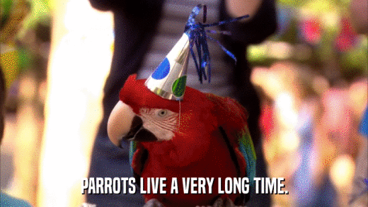 PARROTS LIVE A VERY LONG TIME.  