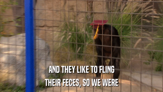 AND THEY LIKE TO FLING THEIR FECES, SO WE WERE 