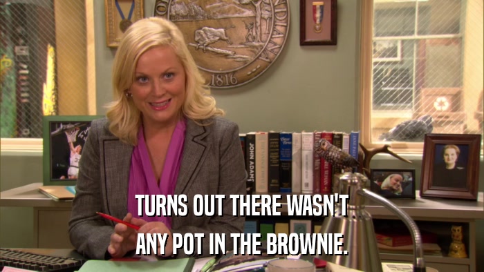 TURNS OUT THERE WASN'T ANY POT IN THE BROWNIE. 
