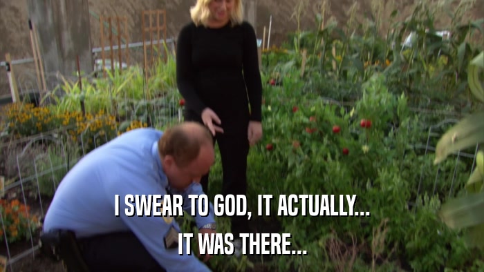 I SWEAR TO GOD, IT ACTUALLY... IT WAS THERE... 