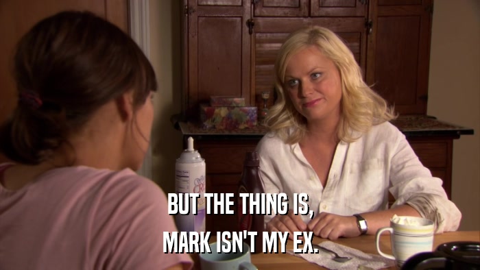 BUT THE THING IS, MARK ISN'T MY EX. 