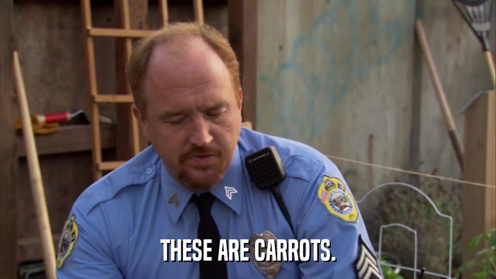 THESE ARE CARROTS.  