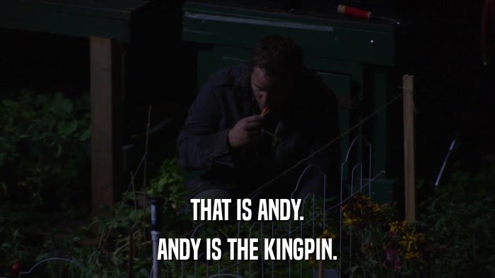 THAT IS ANDY. ANDY IS THE KINGPIN. 