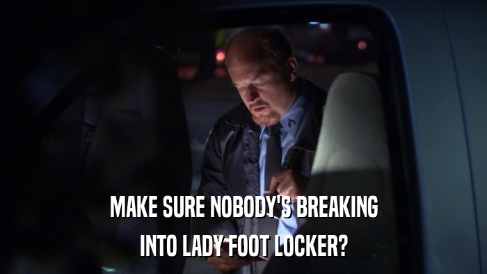 MAKE SURE NOBODY'S BREAKING INTO LADY FOOT LOCKER? 