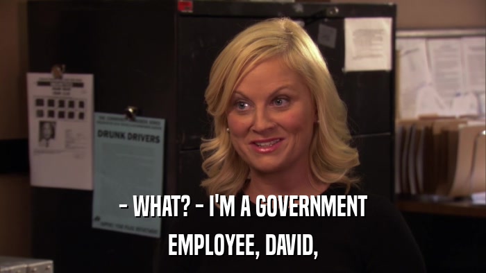 - WHAT? - I'M A GOVERNMENT EMPLOYEE, DAVID, 