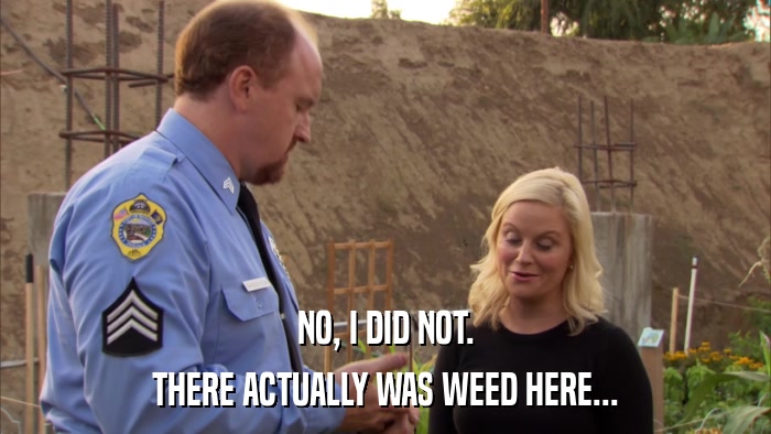 NO, I DID NOT. THERE ACTUALLY WAS WEED HERE... 